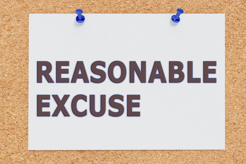 Reasonable excuse for late filing of your tax return