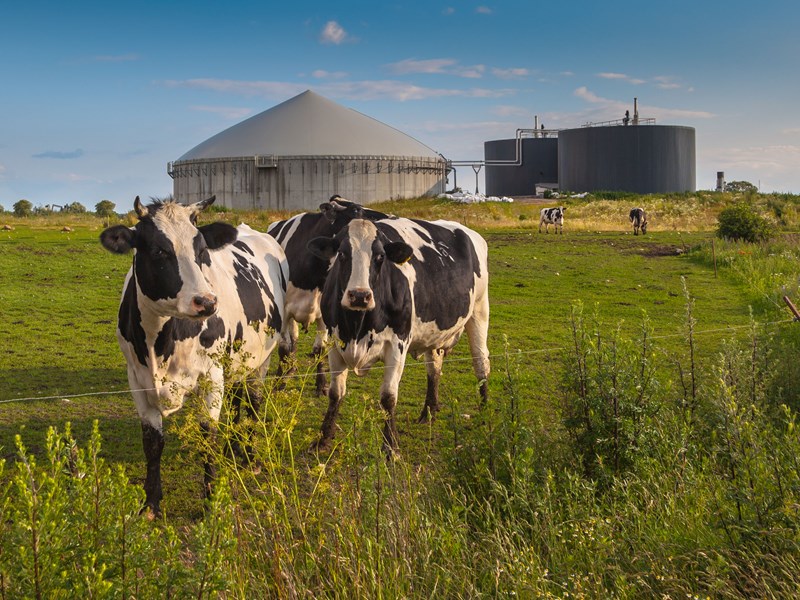 VAT Agricultural Flat Rate Scheme