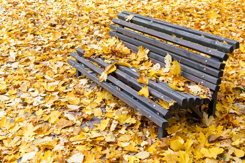 Draft clauses for forthcoming Autumn Budget are published