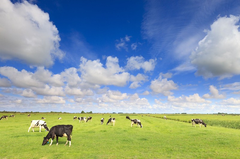 Inheritance Tax Agricultural Property Relief