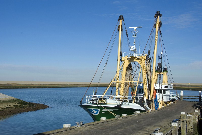 New government support for England’s fishing industry