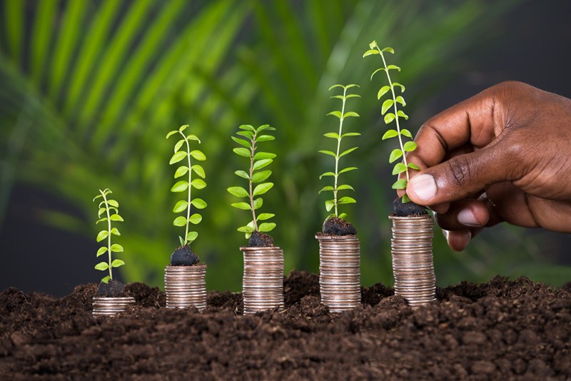 £50m extra funding for Customs Intermediary Grant Scheme