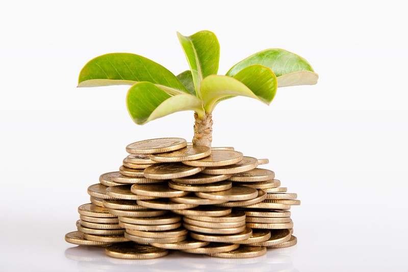 Recovery Loan Scheme